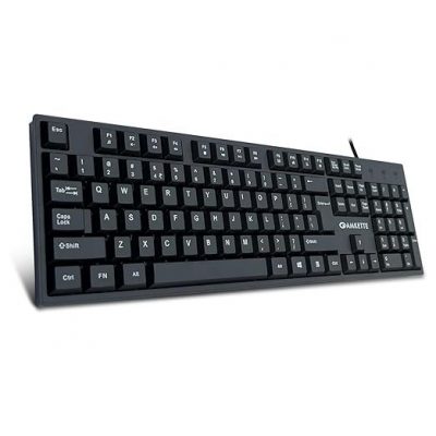 Amkette Lexus Neo Keyboard for Laptops, PCs, and USB-Compatible Devices | UV-Coated, Long-Lasting, Anti-Fade Keys | Spill-Resistant Design | Multimedia Keys | Comfortable Typing (Black)