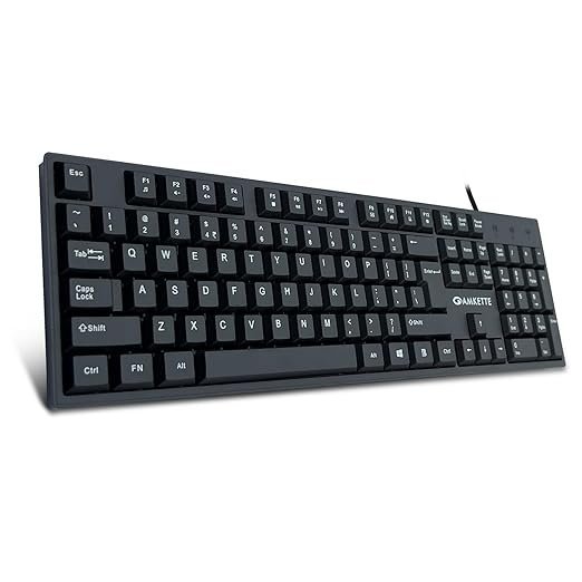 Amkette Lexus Neo Keyboard for Laptops, PCs, and USB-Compatible Devices | UV-Coated, Long-Lasting, Anti-Fade Keys | Spill-Resistant Design | Multimedia Keys | Comfortable Typing (Black)